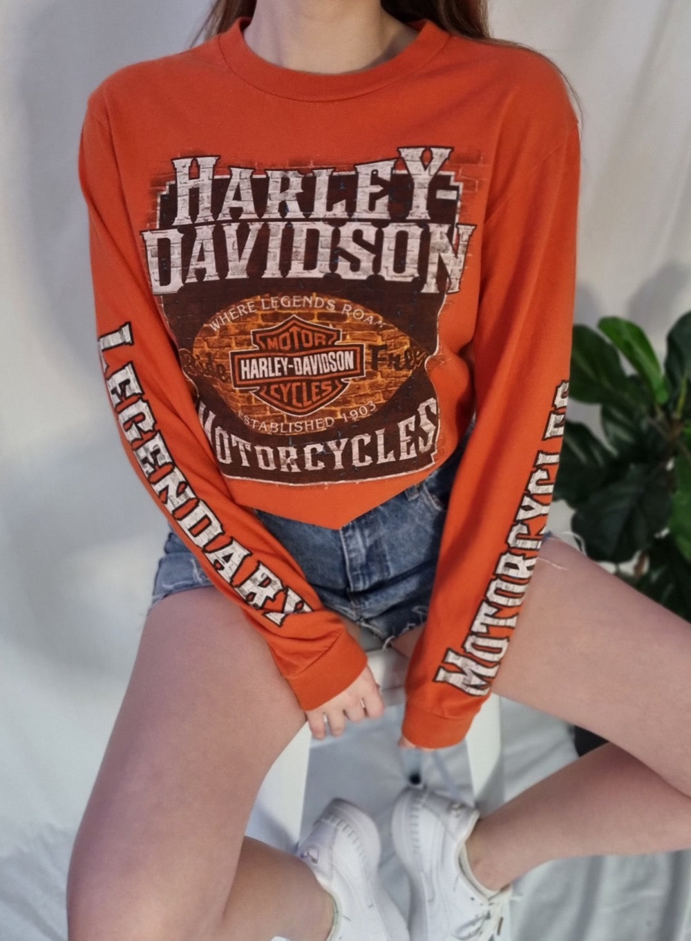 Vintage Harley Davidson Longsleeve 0001